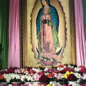 Meet your Posher, Patricia